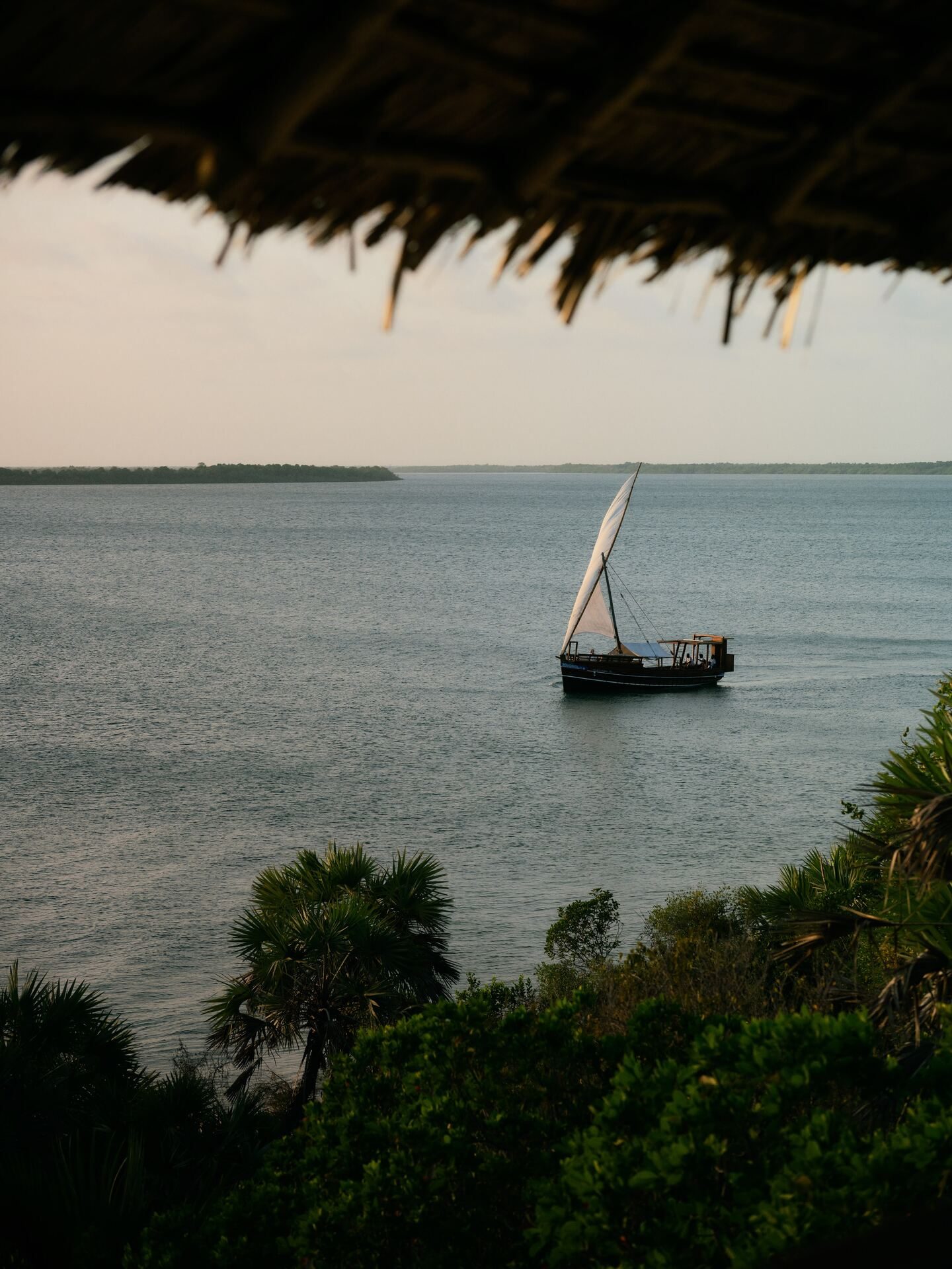 Racing dhows under full sail off Lamu when the wind turns