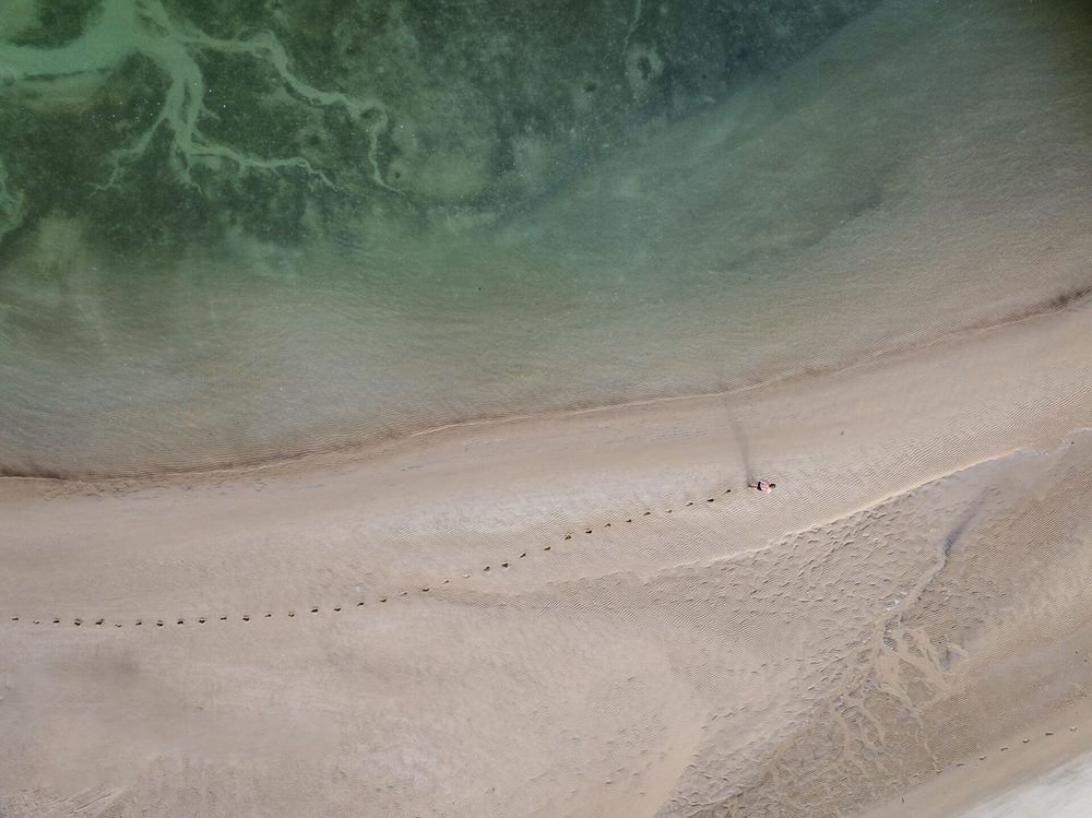 Aerial view of Kizingoni Beach with footprints in soft sand beside the Indian Ocean